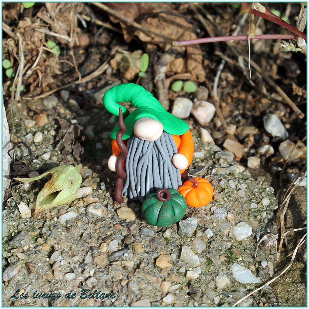 Aengus, gnome citrouille au bâton en spirale, autre vue