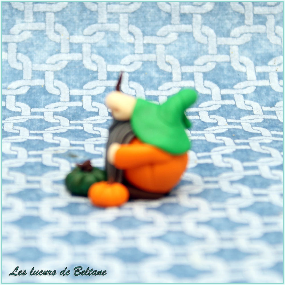 Aengus, gnome au bonnet vert et longue barbe grise, vu de profil