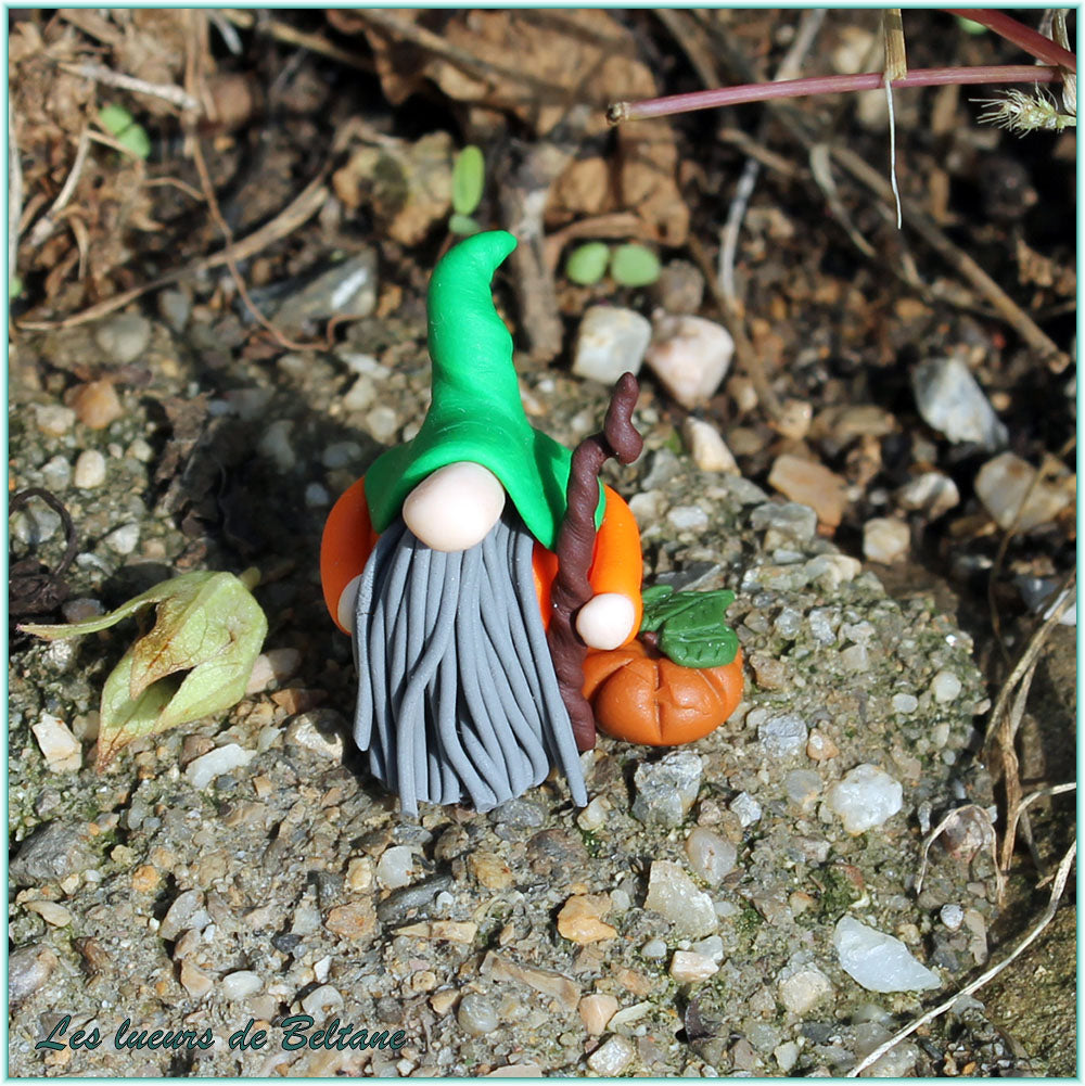 Amergin, gnome citrouille au bâton torsadé, autre vue