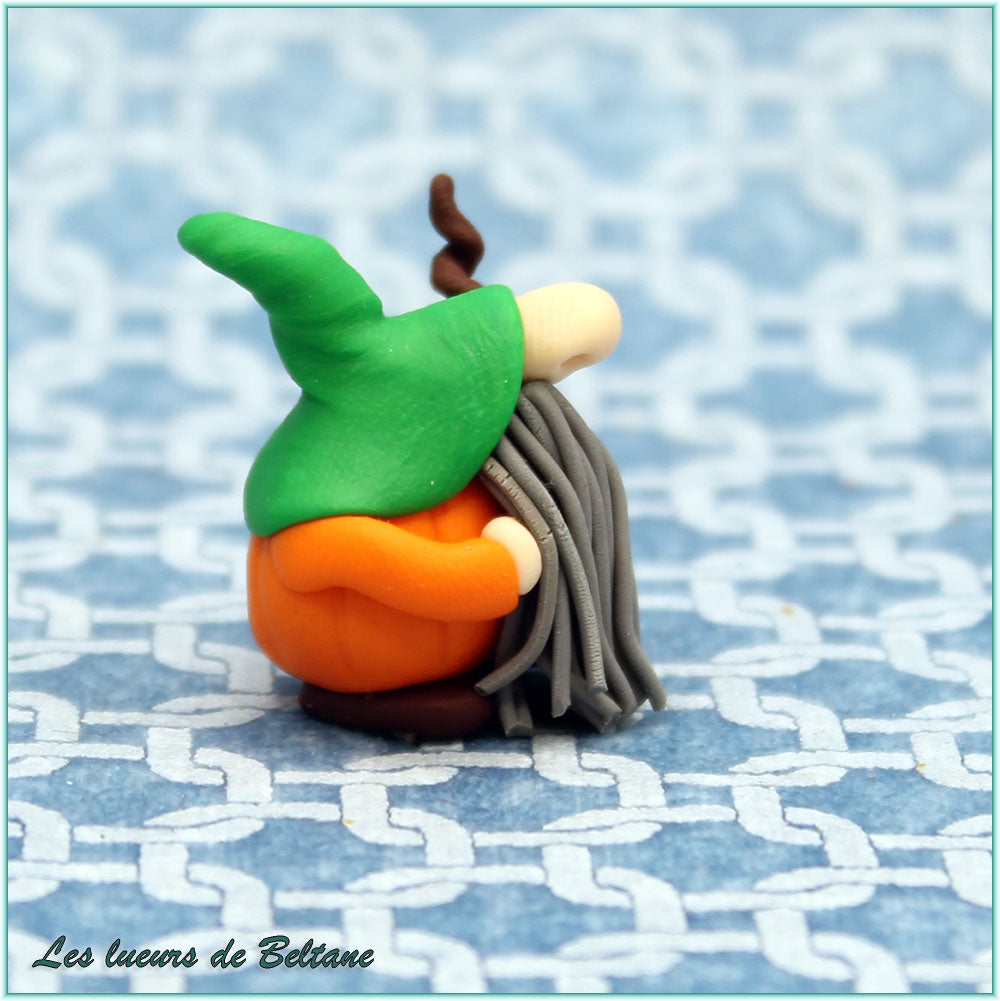 Amergin, gnome au bonnet vert et longue barbe grise, vu de profil