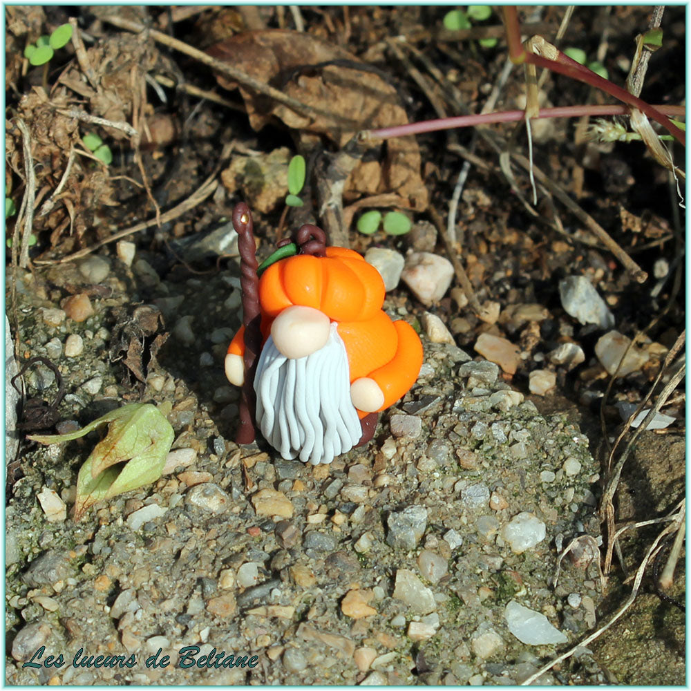 Lugh, gnome citrouille au sceptre d'or, autre vue