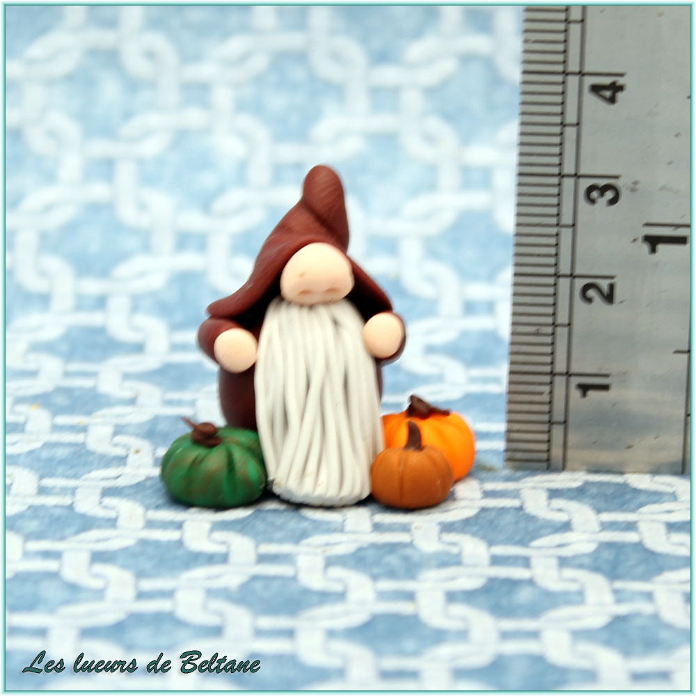 Donn, gnome aux citrouilles fait main, vue de dos sur sa cape brune