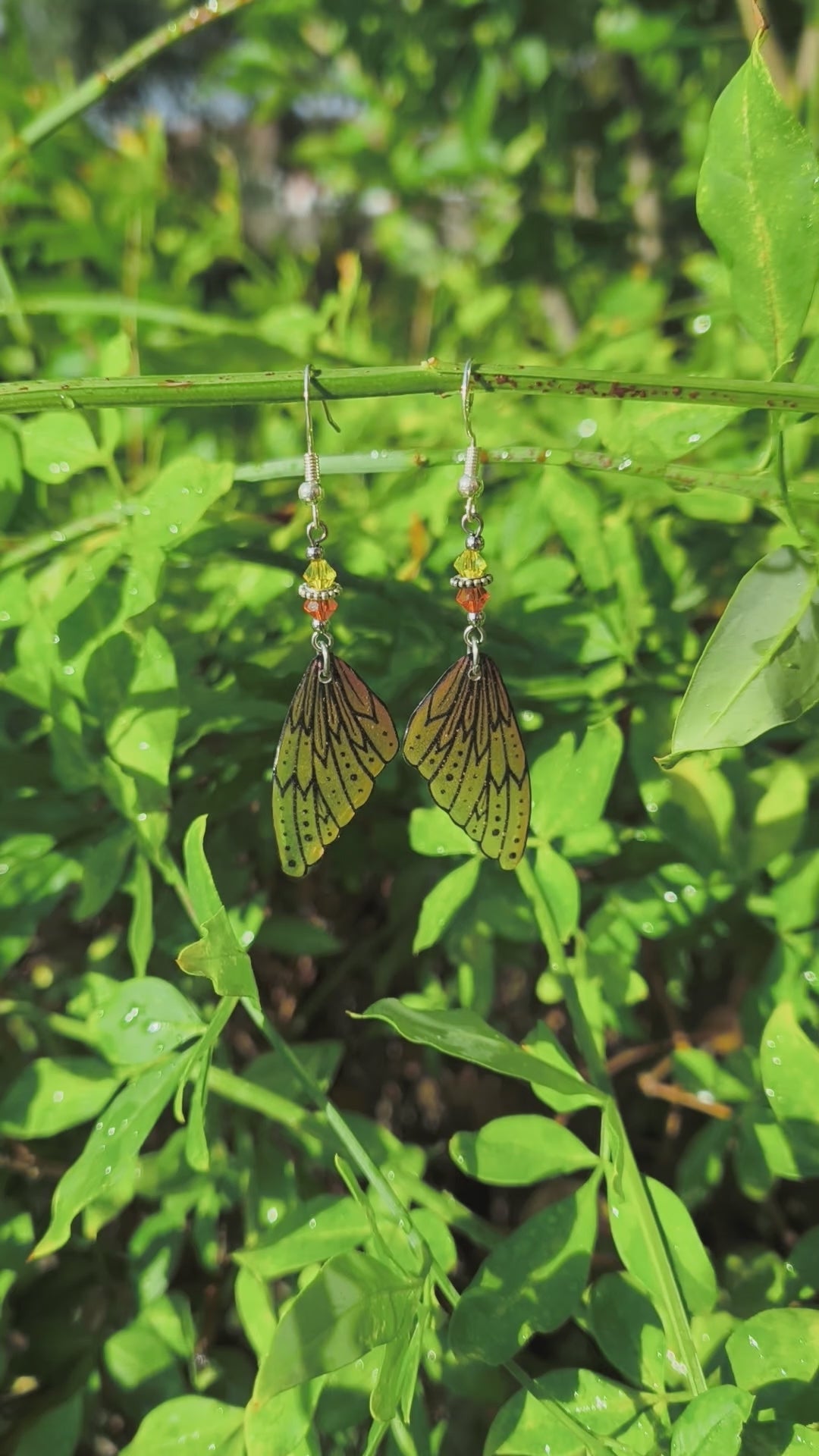 Vidéo des boucles d'oreilles Oona, aile de fée en résine orange